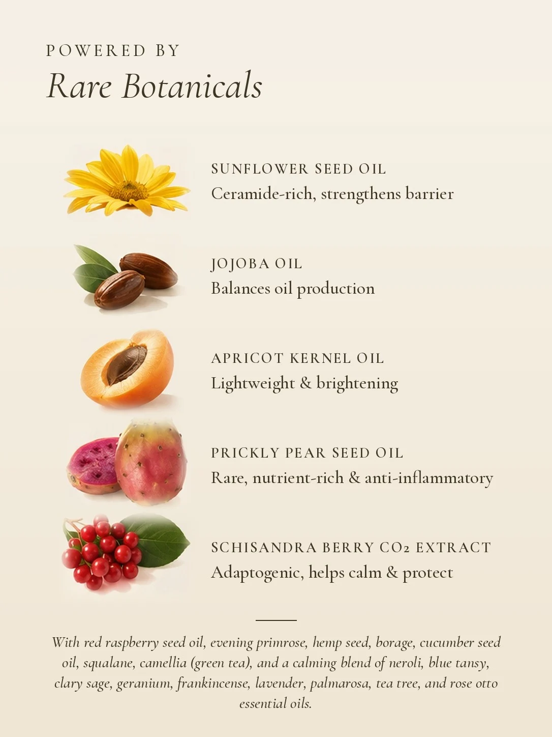 Rare botanicals in GOLD: sunflower, jojoba, apricot kernel, prickly pear and schisandra