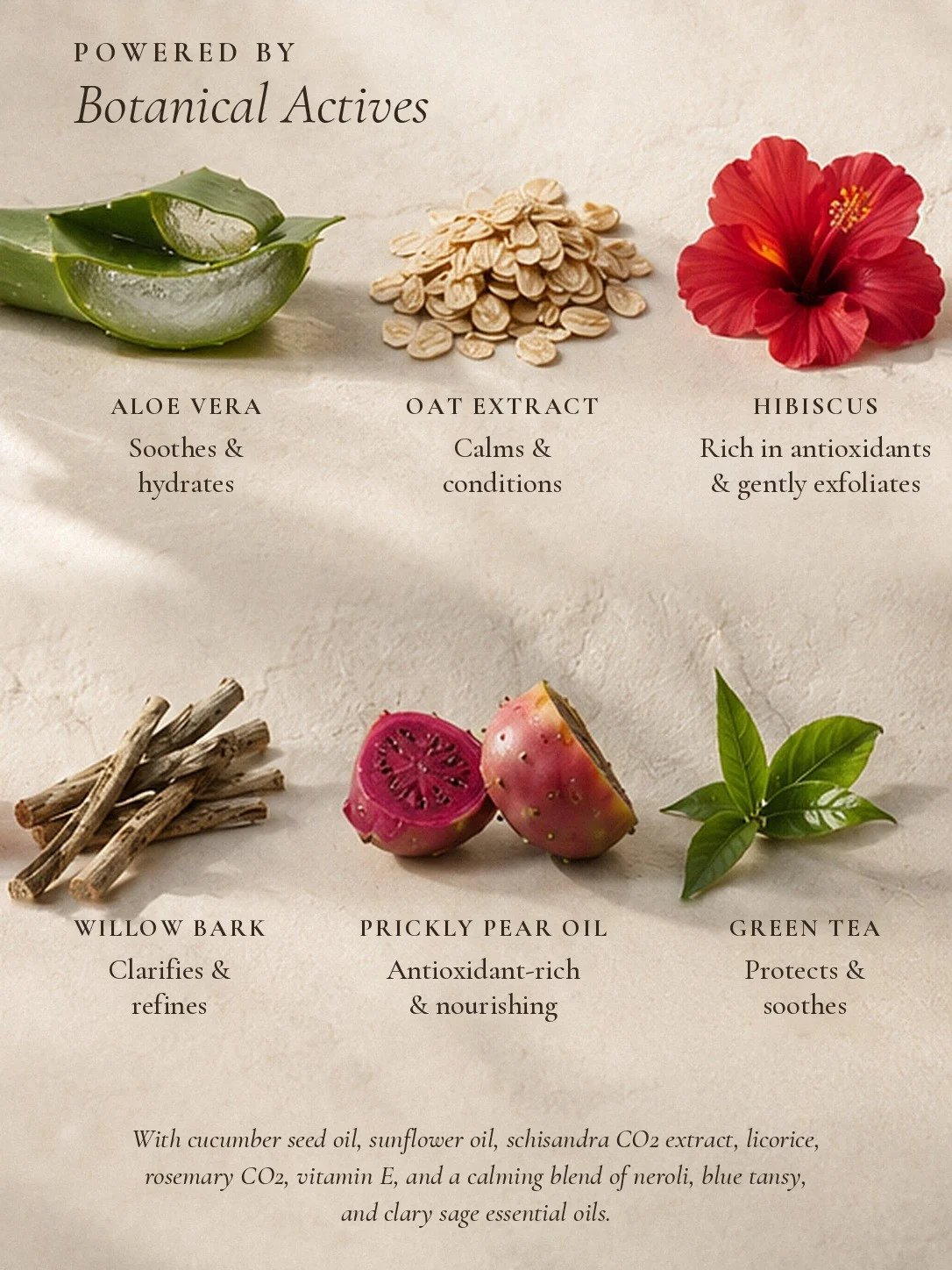 Botanical actives in STONE: aloe vera, oat extract, hibiscus, willow bark, prickly pear oil and green tea